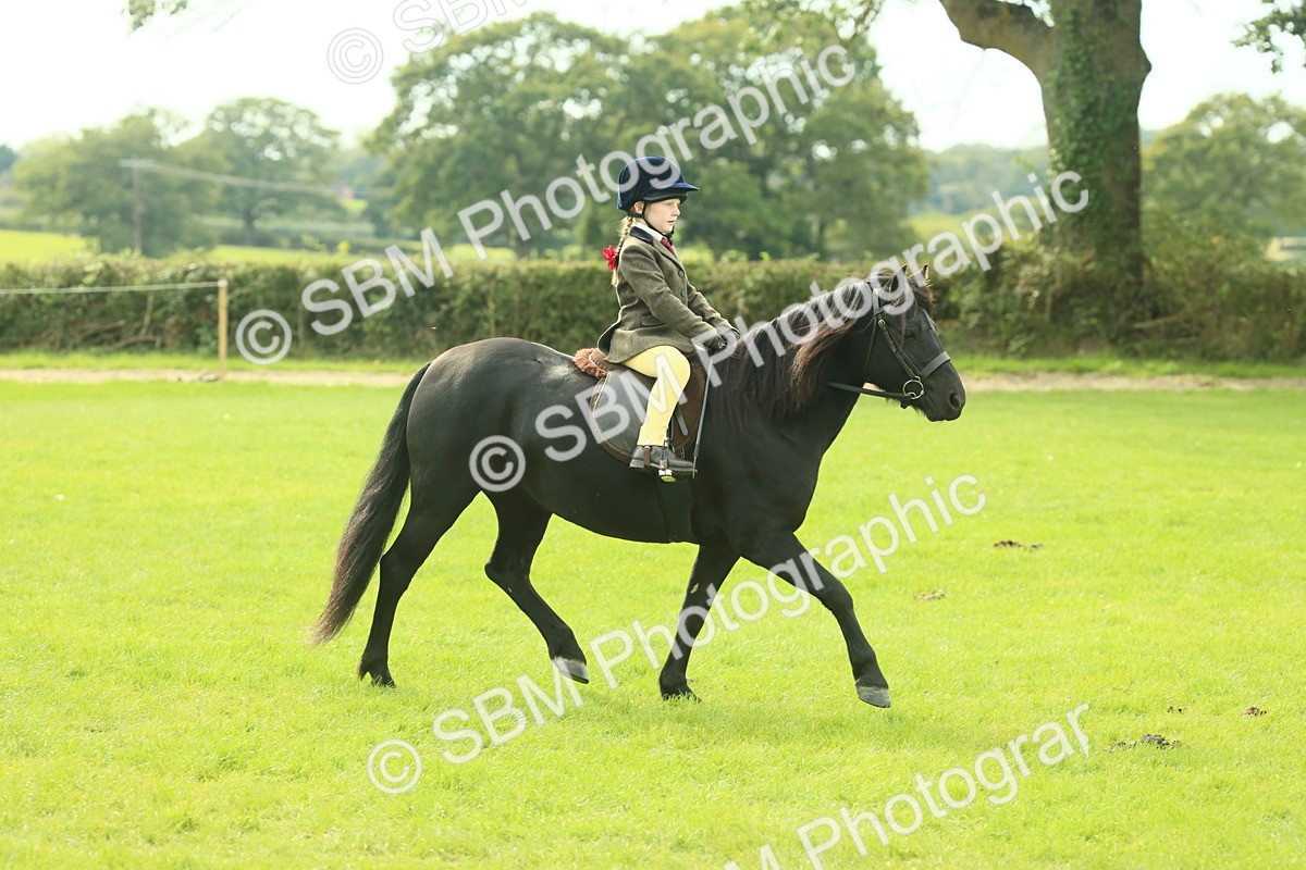 SBM_69793 - S59 - Mountain & Moorland Ridden Small Breeds