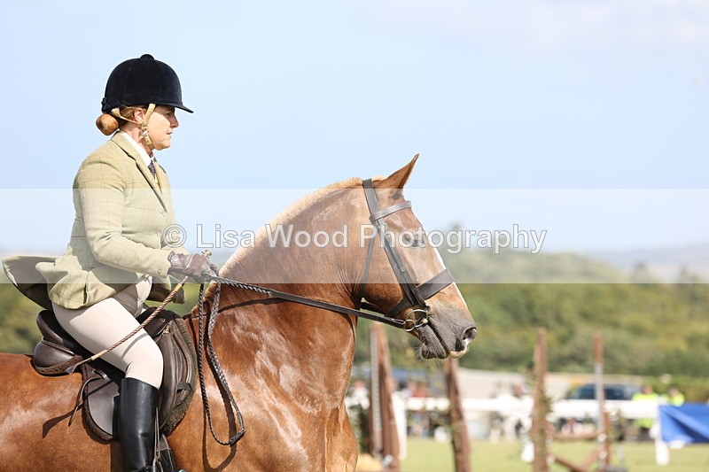 JPP_2510 - Class 20: Working Hunter 70cm