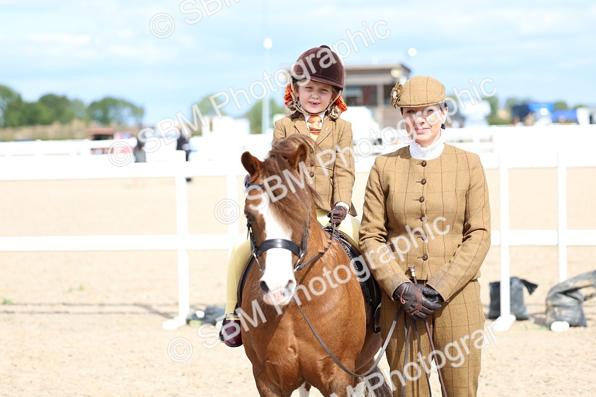 SBM_13079 - Class 309 - Lead Rein Pony