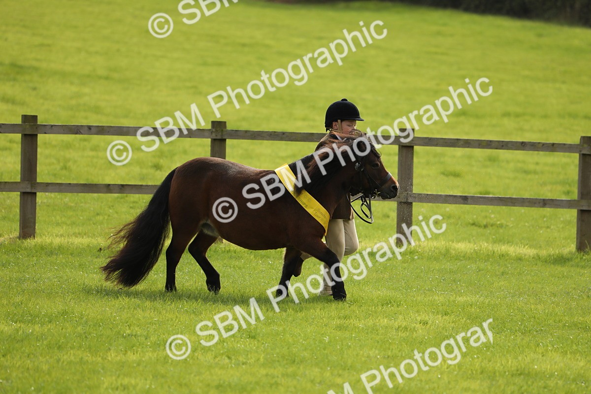 SBM_68777 - S40 - Junior Handler 9-12 Years