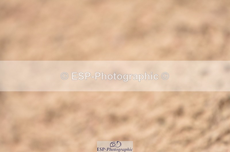 230810A-161324-01492 - Cls 12 1.40m Open