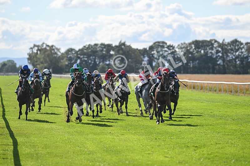 290825-Race 4-Eternal Sunshine-9003 - Race 4