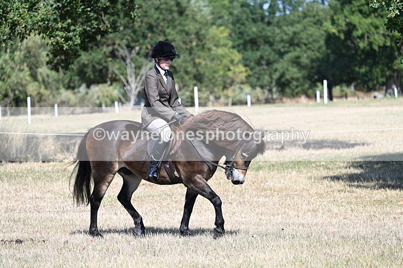 WJ7_3961 - Class 9 Mountain & Moorland Ridden