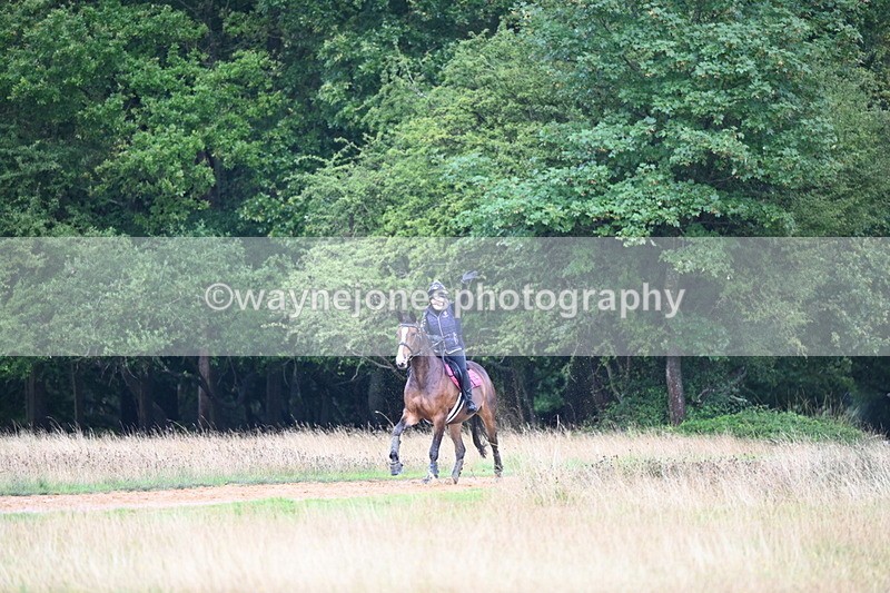 DSC_3901 - Time at Statue 14:56 to 15:05