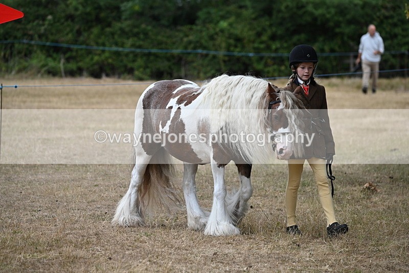 WJ6_7899 - Class 10 Coloured in Hand