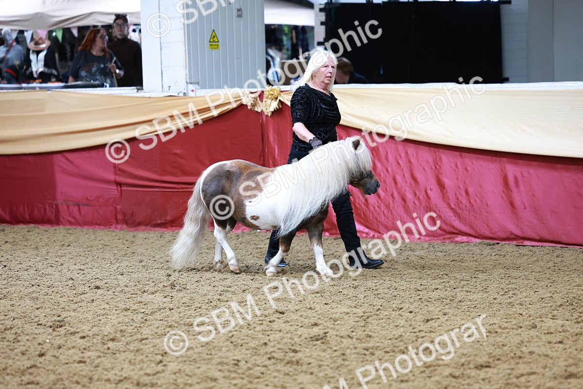 SBM_17320 - Class 951 - M&M IH Supreme Final