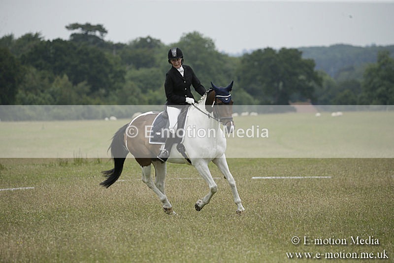 B230619-0644 - Bourne Valley Riding Club Summer Show 23/06/19