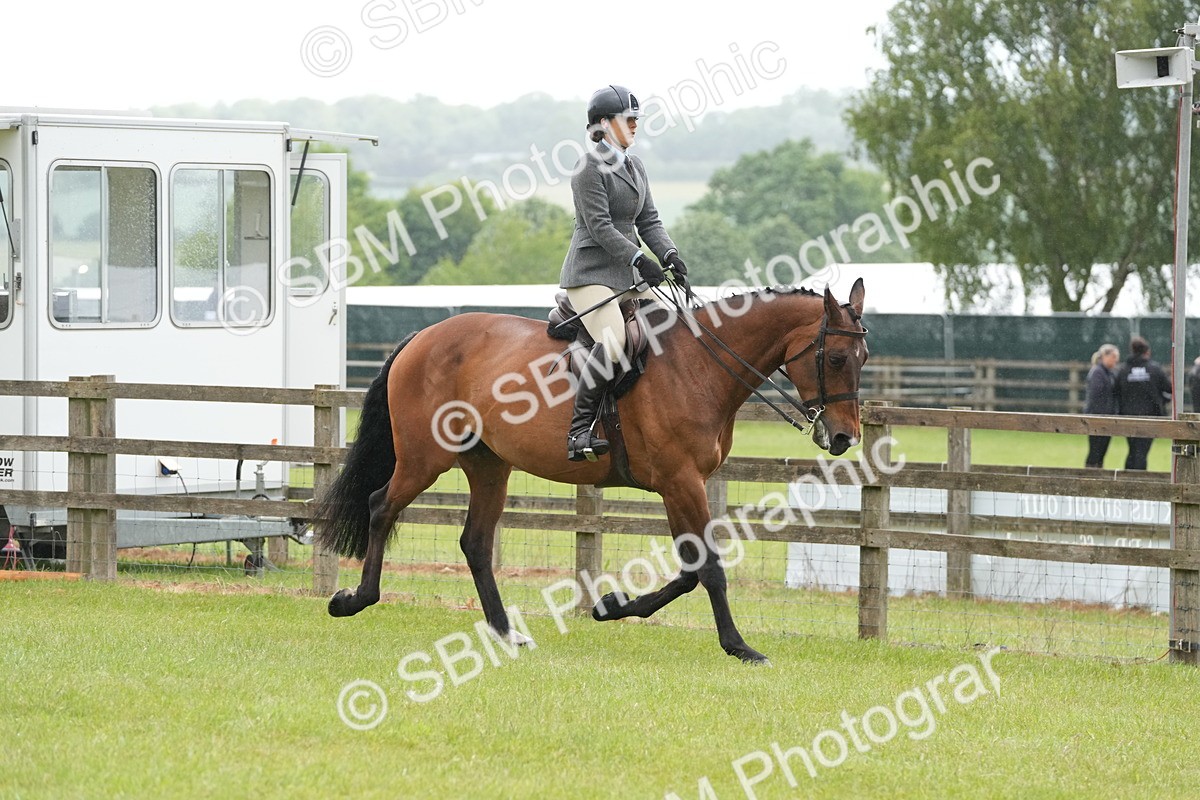SBM_12649 - Class 97-98 - LIHS BSHA Rising Star Working Show Horse Hunter