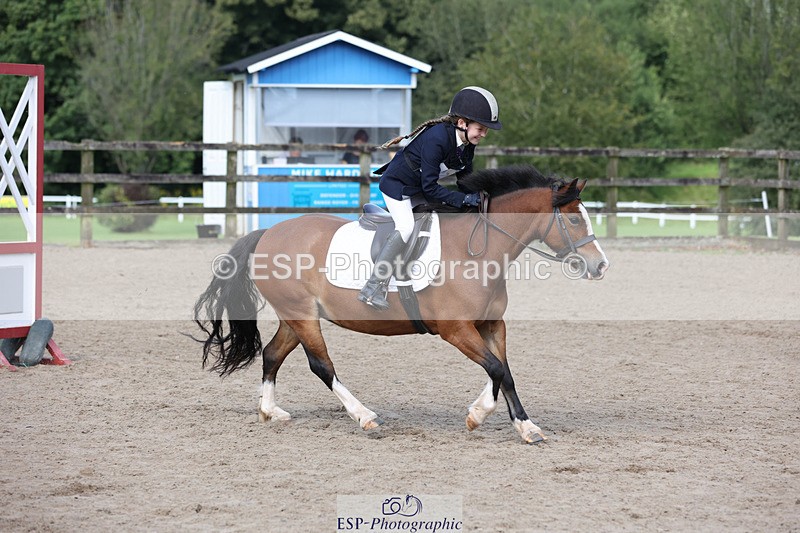 240822X-160317-13068 - 40cm A R1 15.53 to 16.48