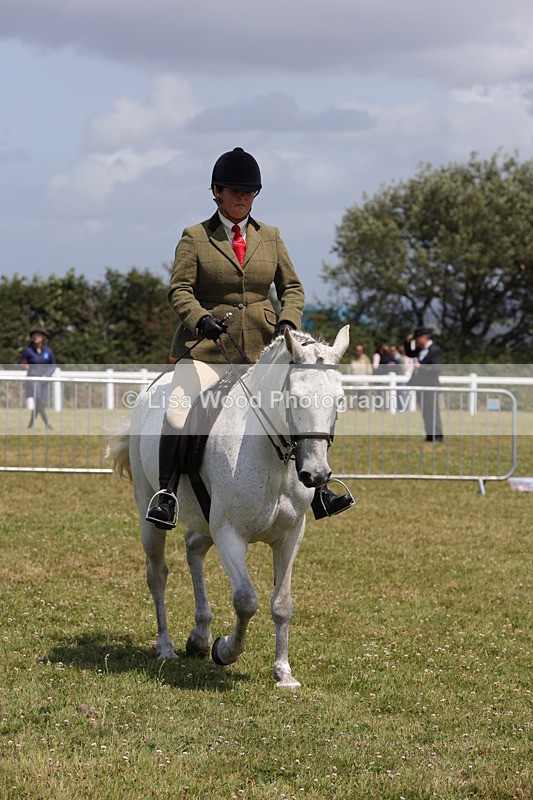 1X9A4566 - Class 34: Veteran Ridden