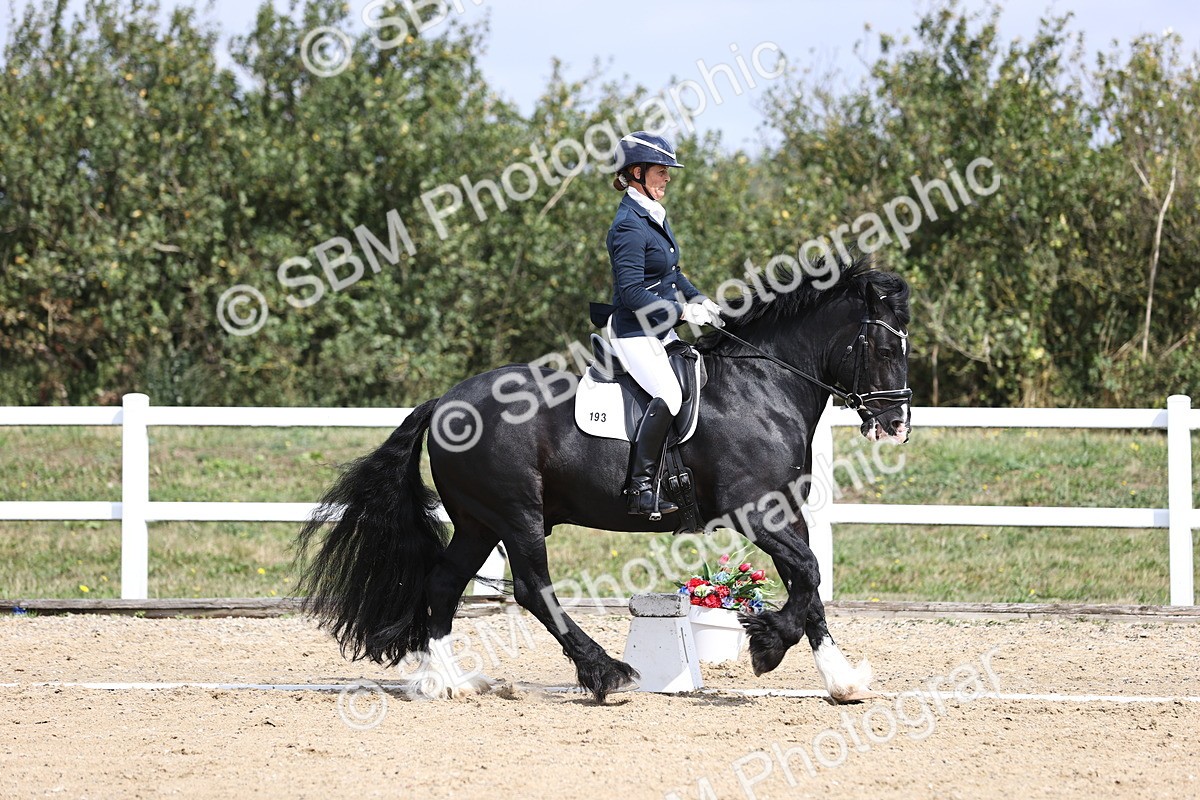 SBM_016723 - Class 14 Novice 23 - 11.53-12.56