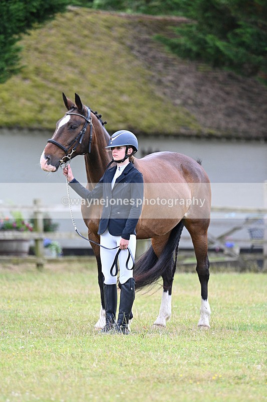 WJ7_7020 - Class 5a Most Handsome Gelding in Hand