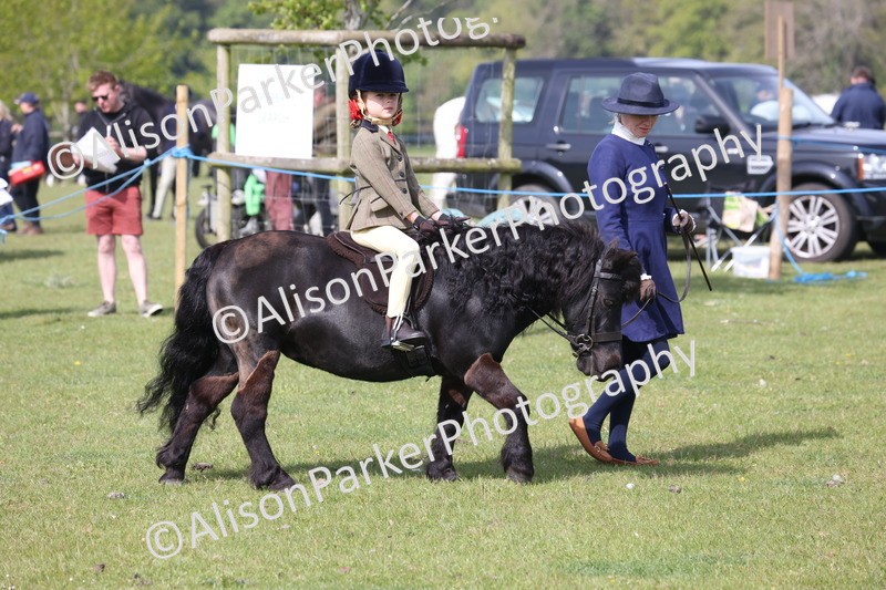 20260426-0568 - Class 31 - Leading Rein