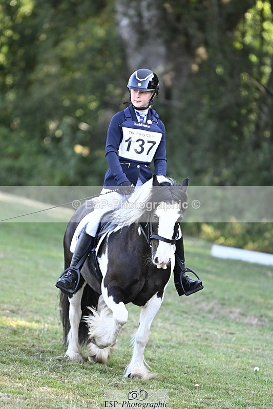 250822A-094944-19377 - DR 9.00 to 10.00