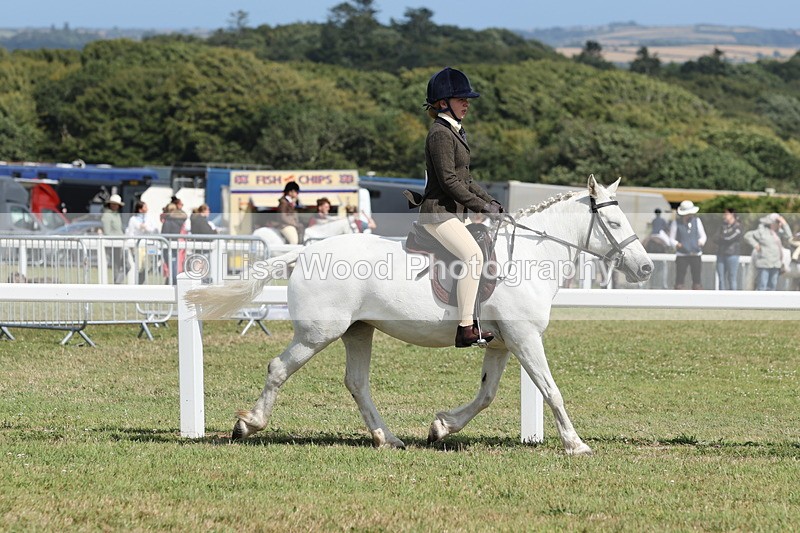 JPP_2255 - Class 19: Working Hunter 60cm