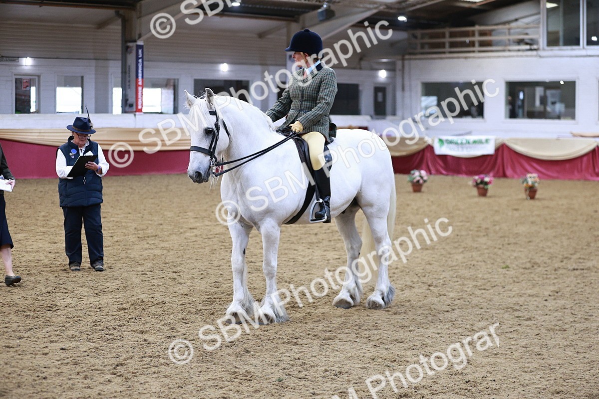 SBM_08237 - Class 11R - Regional Ridden Veteran