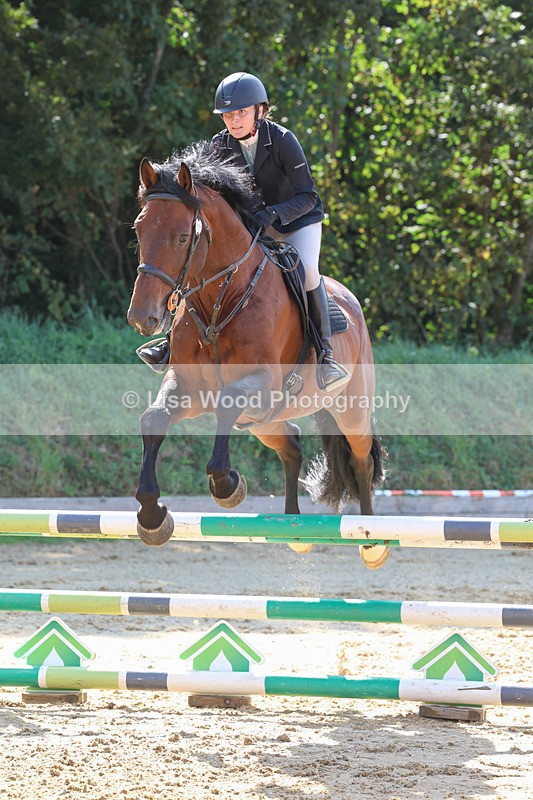 3E7A0840 - Class 4: Senior British Novice/90cm open