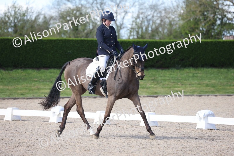 20260405-0487 - Class 5 - Elementary 5