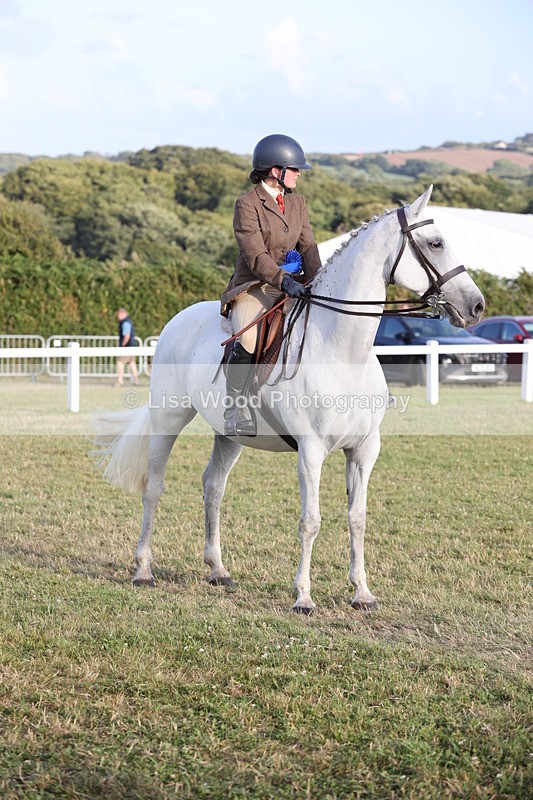 JPP_3747 - Working Hunter Championship