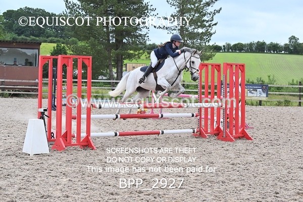 BPP_2927 - CLASS 7 Pony Discovery / 90cm Open