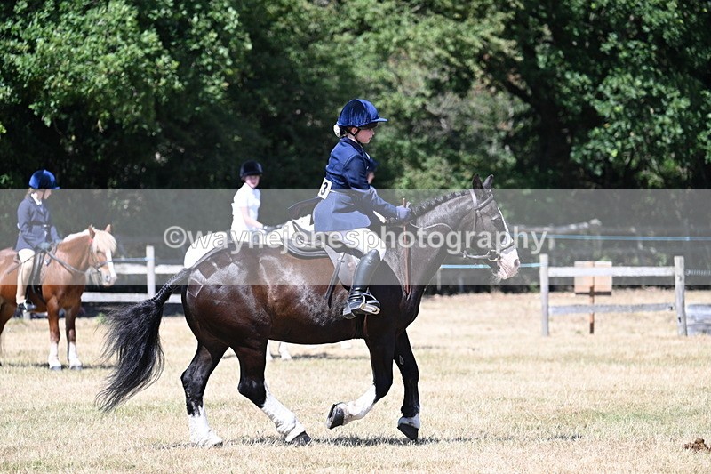 WJ7_3714 - Class 8 Ridden Veterans