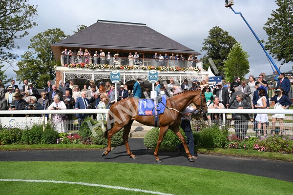 yr18082021r1-2 - Race 1 1.50pm Sky Bet & Symphony Group Stakes