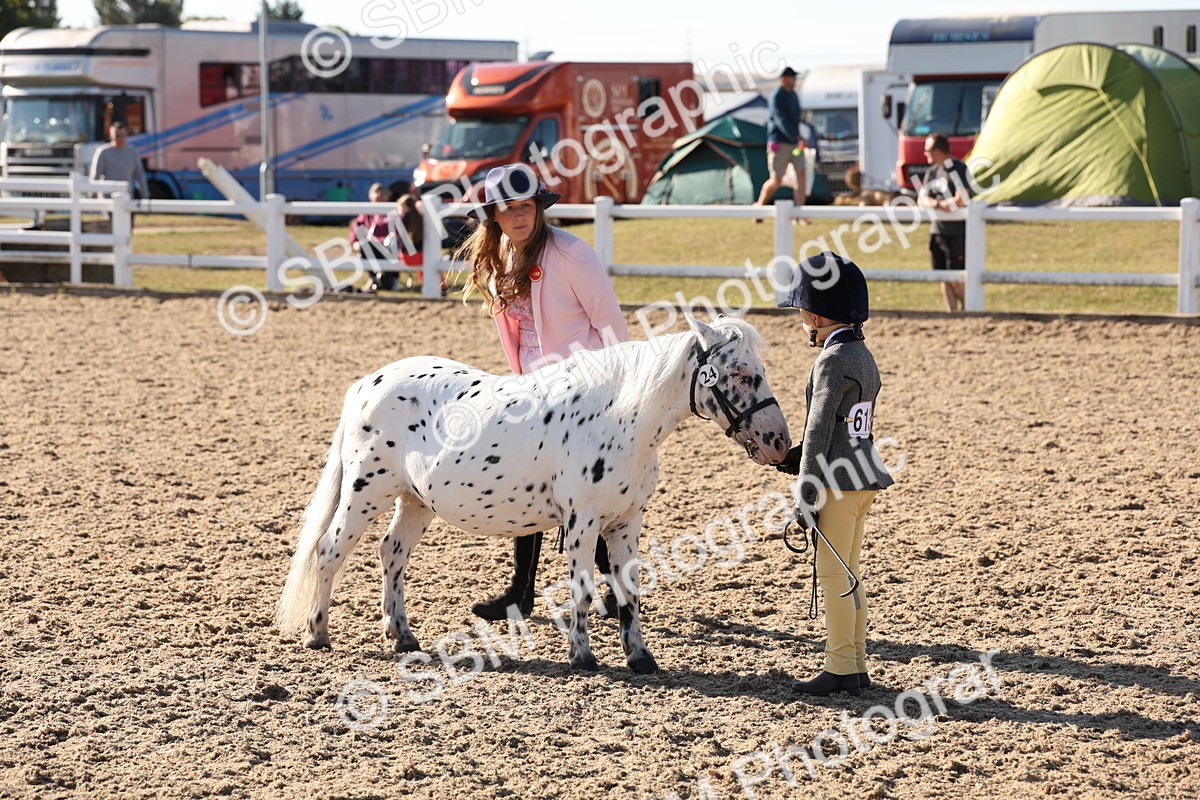 SBM_11683 - Class 203 - Young Handler 11 to 16 years