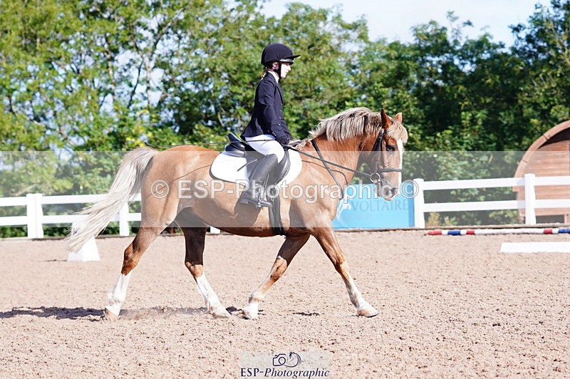 240809A-091232-00177 - Dressage Competition
