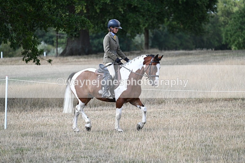 WJ7_6723 - Class 14 Ridden Coloured