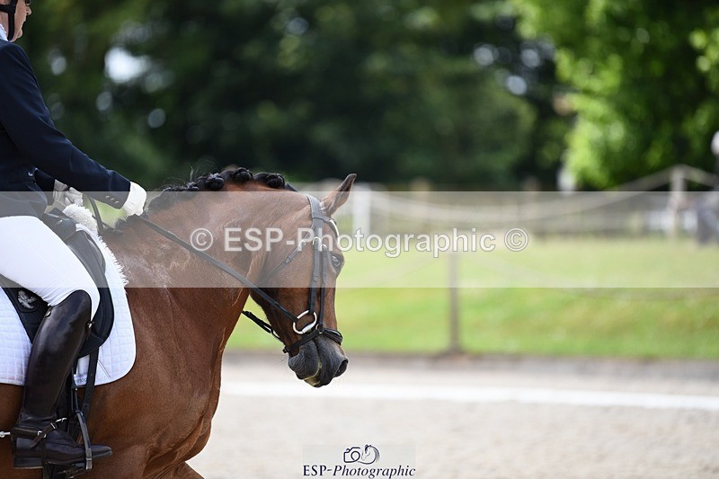 240605-131354-00994 - Cls 4 Novice 37 SQ