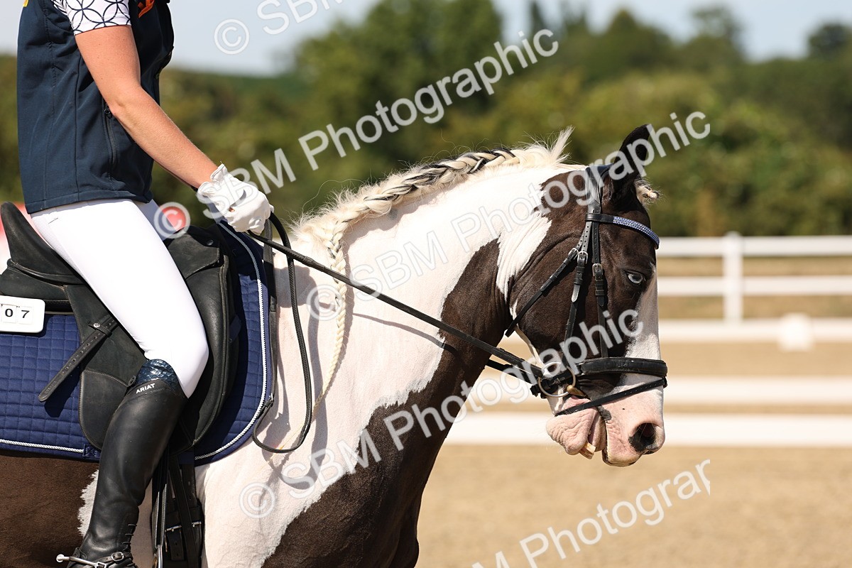 SBM_003692 - Elementary 4