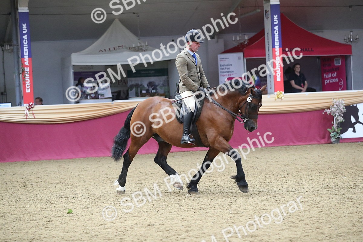 SBM_16445 - Class 502 M&M Ridden Supreme Final