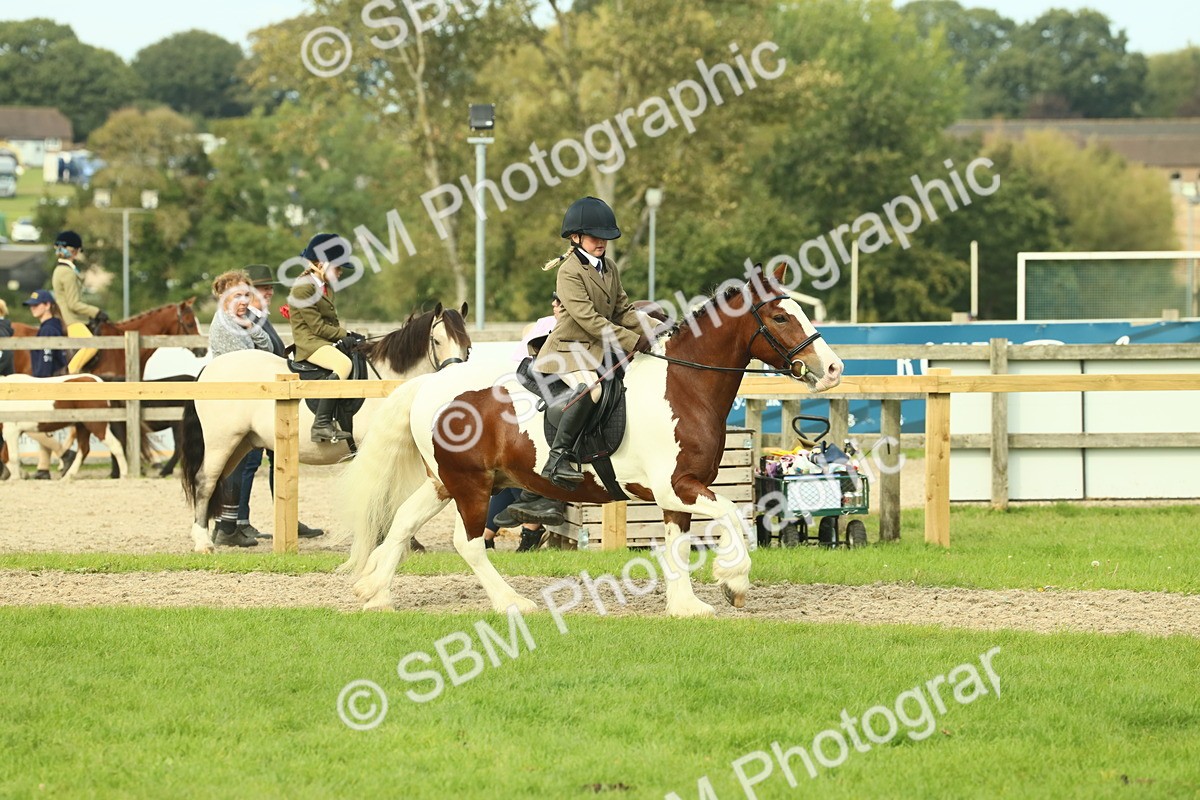 SBM_68234 - S58 - Mini Show Cob Ridden