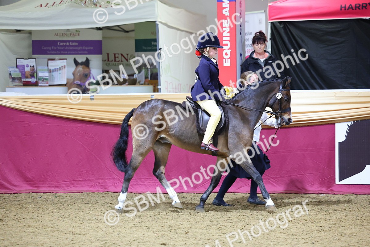 SBM_18990 - Class G Ridden Pony Champ