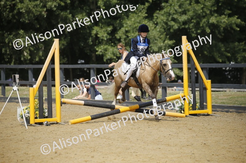 20250622-3931 - 50cm