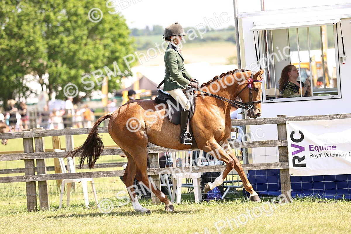 SBM_14886 - Class 78 - LIHS BSHA Open Racehorse & Show Horse