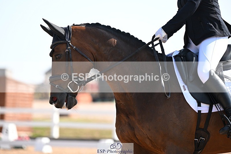 250816-105125-03474 - 047-Hannah.RogersWoodendfarm.Viva