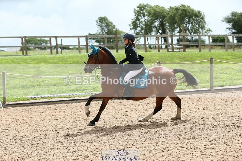 230715A-111128-00638 - Cls 34 Springboard 128cm & 138cm