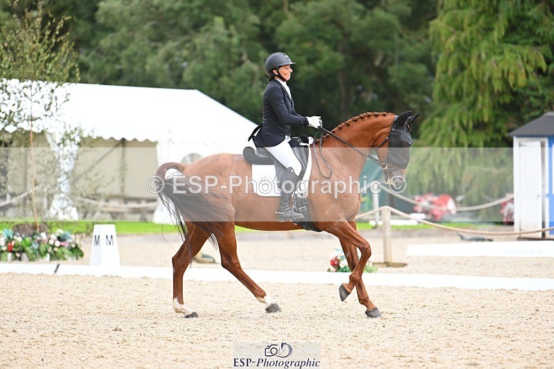 230813-143340-07790 - Cls 13 Medium Bronze 13.15 to End