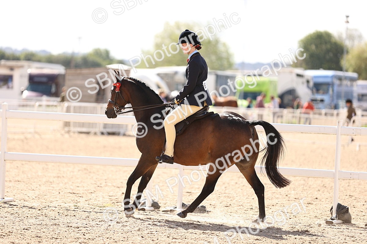 SBM_12868 - Class 409 - Grassroots Ridden - Pony