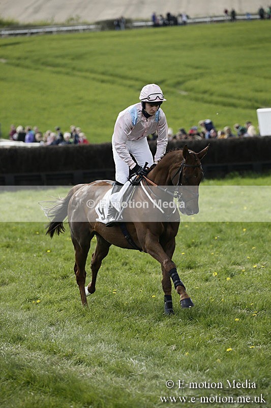 PtP 170417 444 - Old Berks Point-to-Point Lockinge 17/04/17