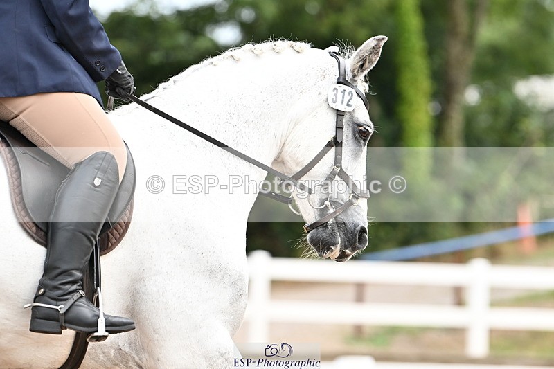 240817A-104432-07201 - 312-Carolyn.Day-Greycroft.Ronan