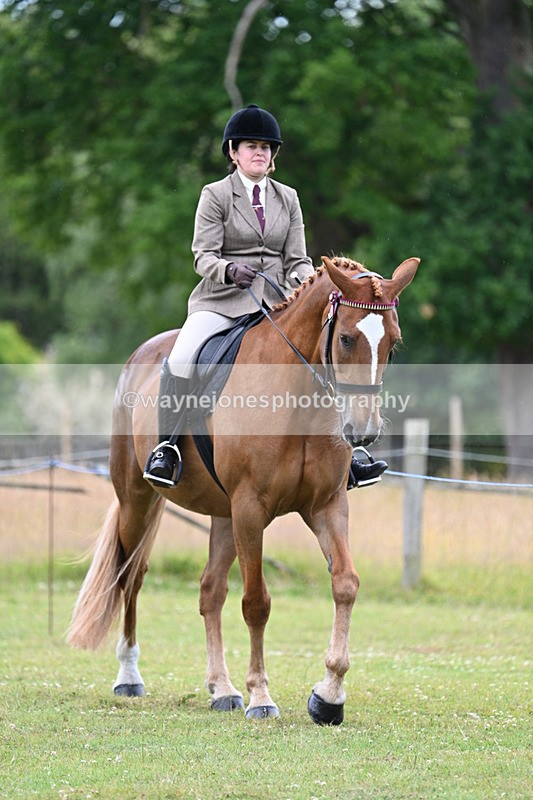 WJ7_8963 - Class 8 Ridden Veterans