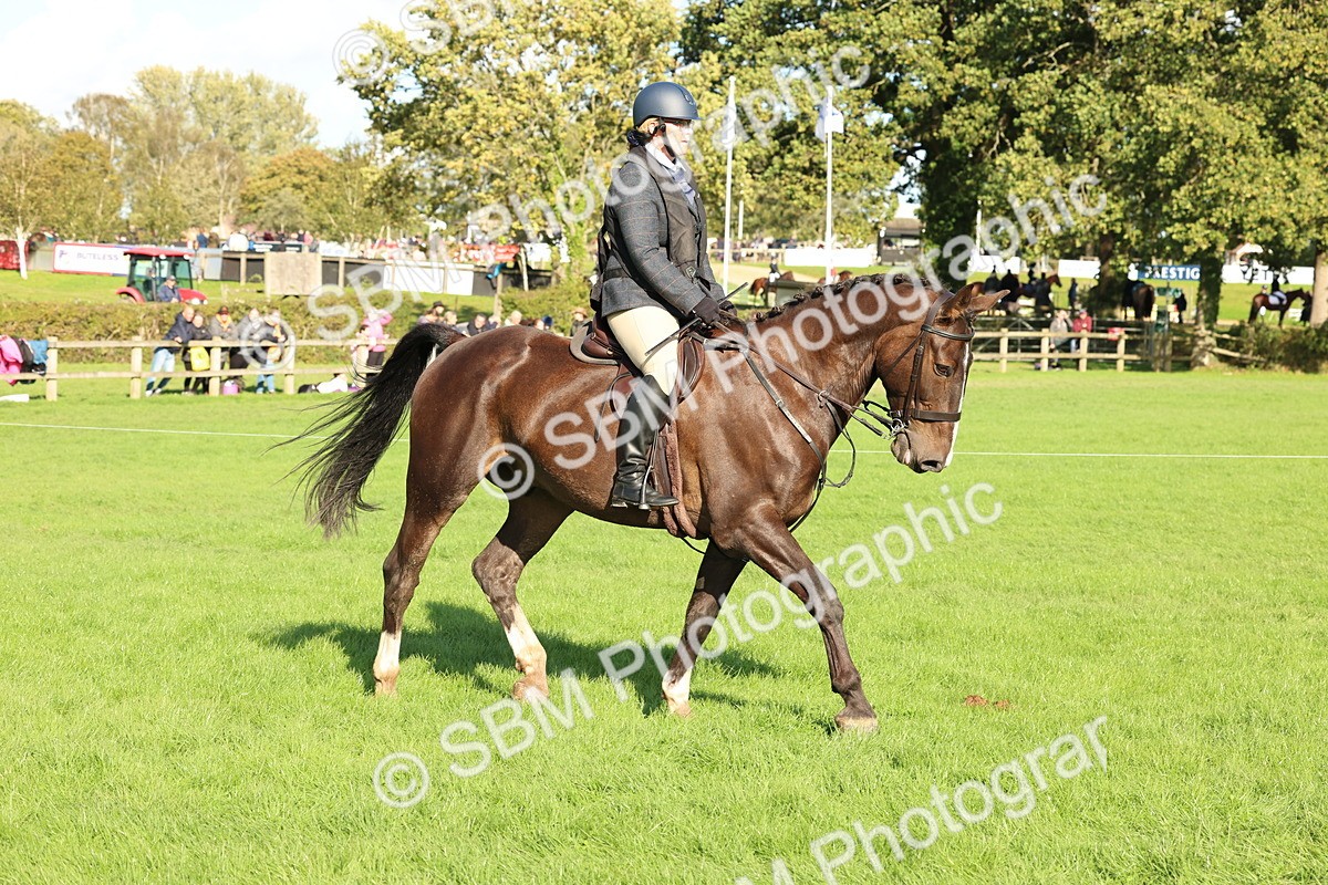 SBM_50150 - S34 - Novice & Newcomers Working Hunter