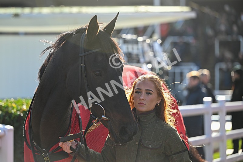 251025-Race 3-Dunboyne-8010 - Race 3