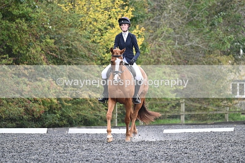 WJ7_6618 - Time 14:49 to 15:14