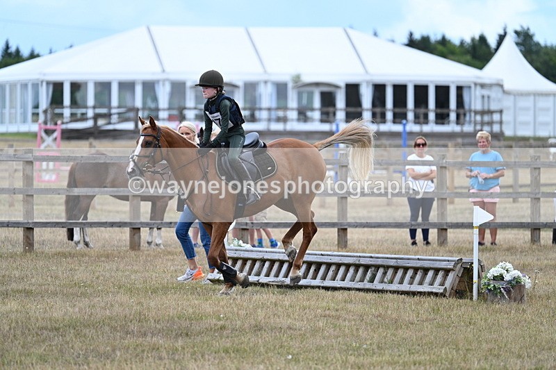 WJ7_1668 - 60cm Time 13:20 to 14:27