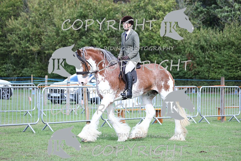 APP_3664 - Class 8 Ridden Class