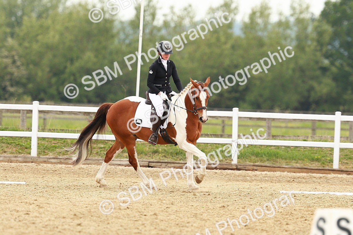 SBM_001213 - Class 6 - Novice 4