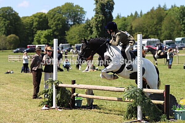 IMG_3816 - Working Hunter